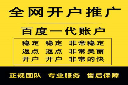 成功企业SEM竞价代运营案例研究