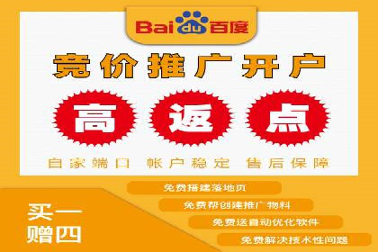 SEM运营公司成功案例解析